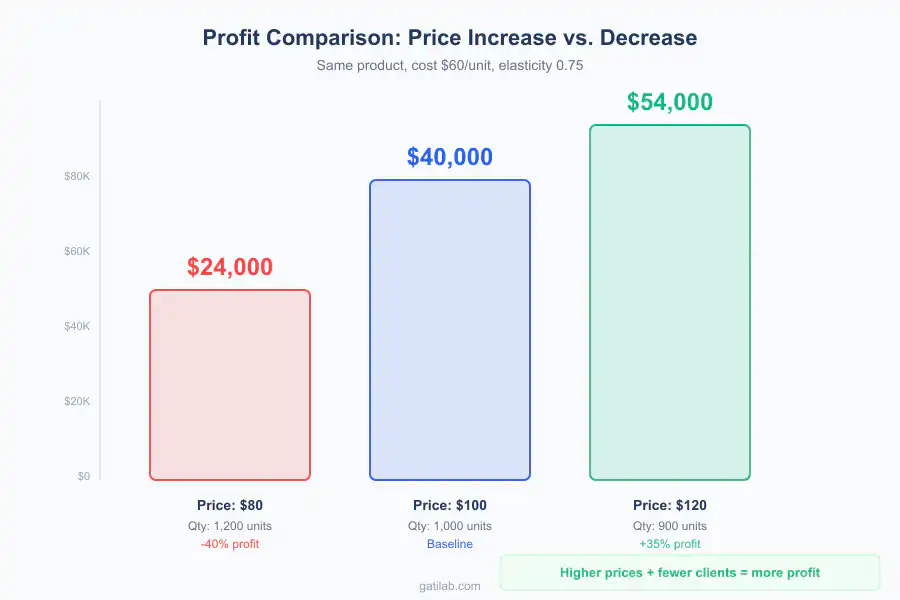 Pricing Elasticity Mathematics - Infographic 3